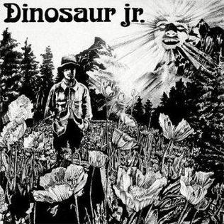 Dinosaur cover
